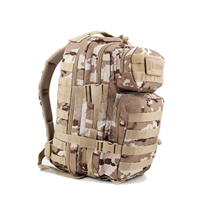 WhatsApp Image 2024-06-26 at 21ld.jpg