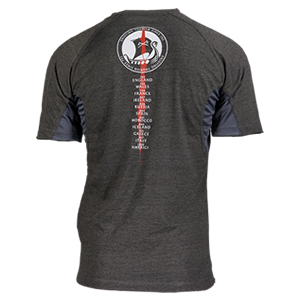 Camiseta Ragnar Raids Aesir Tour L - Gris